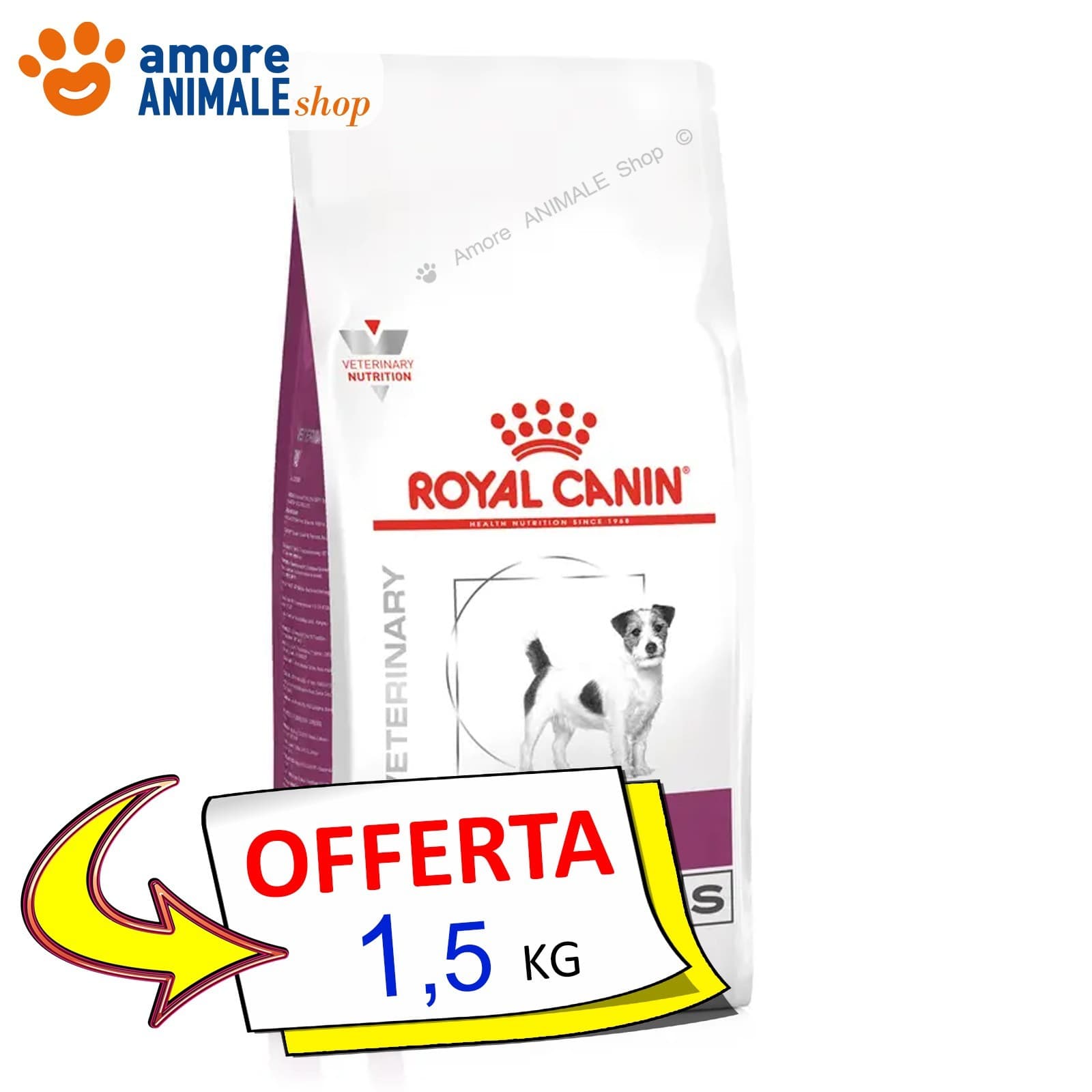 Royal Canin Perro - Veterinario RENAL Small Dog - 1,5/3,5 kg - Pienso Seco